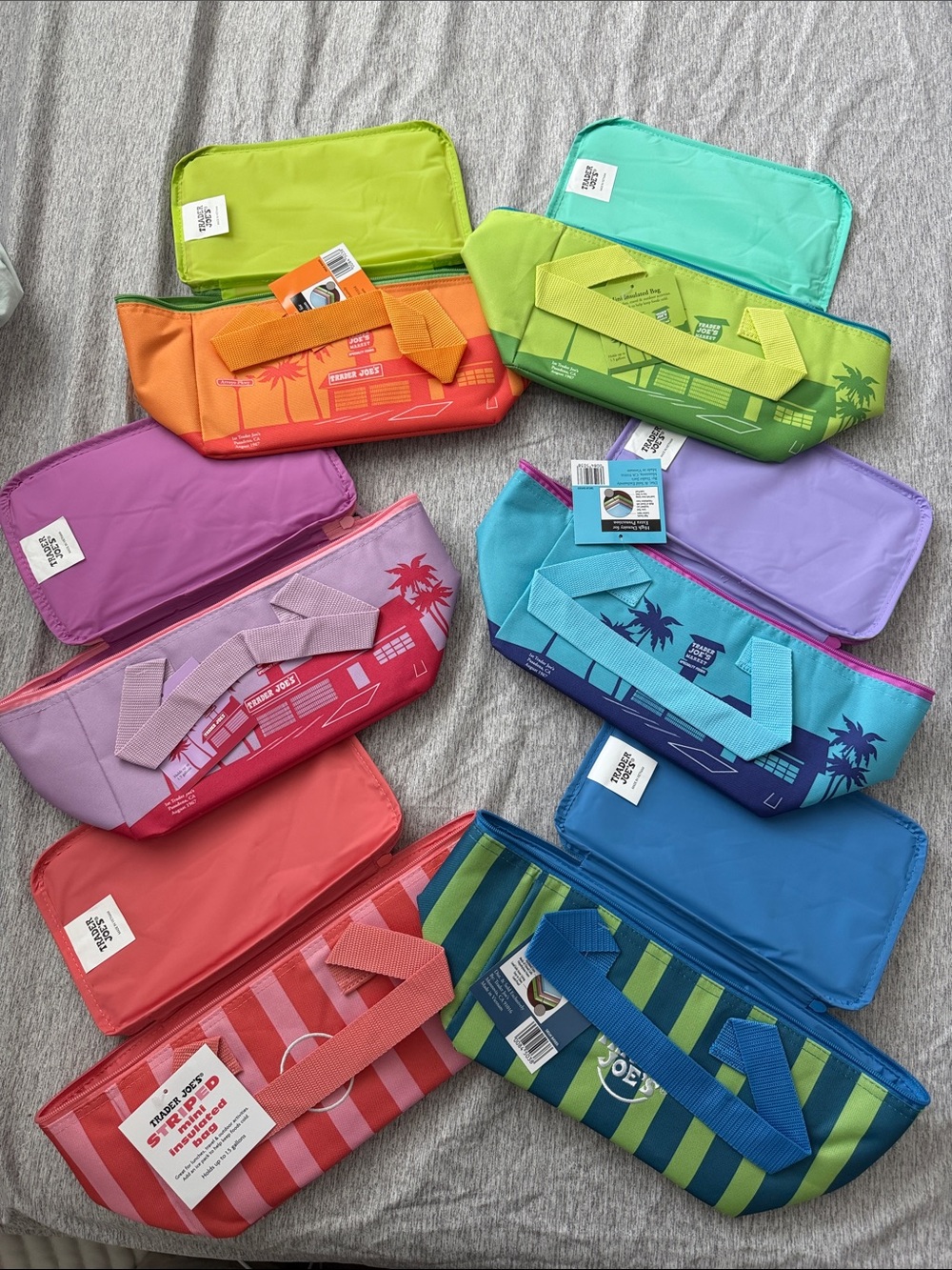 Trader Joe's Aqua Insulated Lunch Tote